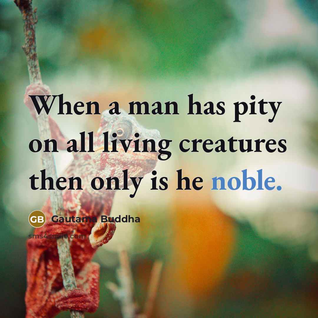 “When a man has pity on all living creatures then only is he noble.” quote by Gautama Buddha
