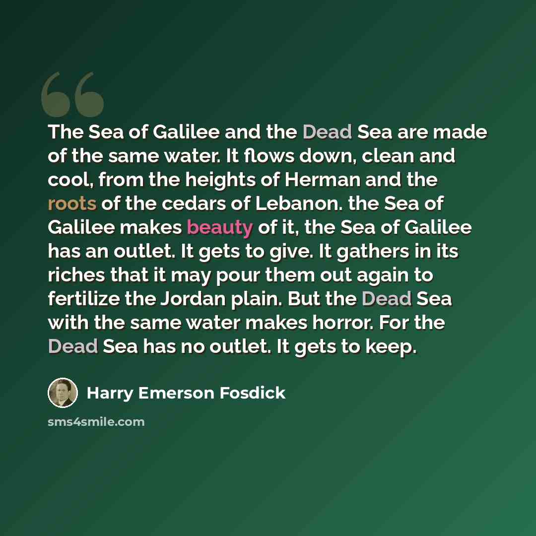 “The Sea of Galilee and the Dead Sea are made of the same water. It flows down, clean and cool, from the heights of Herman and the roots of the cedars of Lebanon. the Sea of Galilee makes beauty of it, the Sea of Galilee has an outlet. It gets to give. It gathers in its riches that it may pour them…” quote by Harry Emerson Fosdick