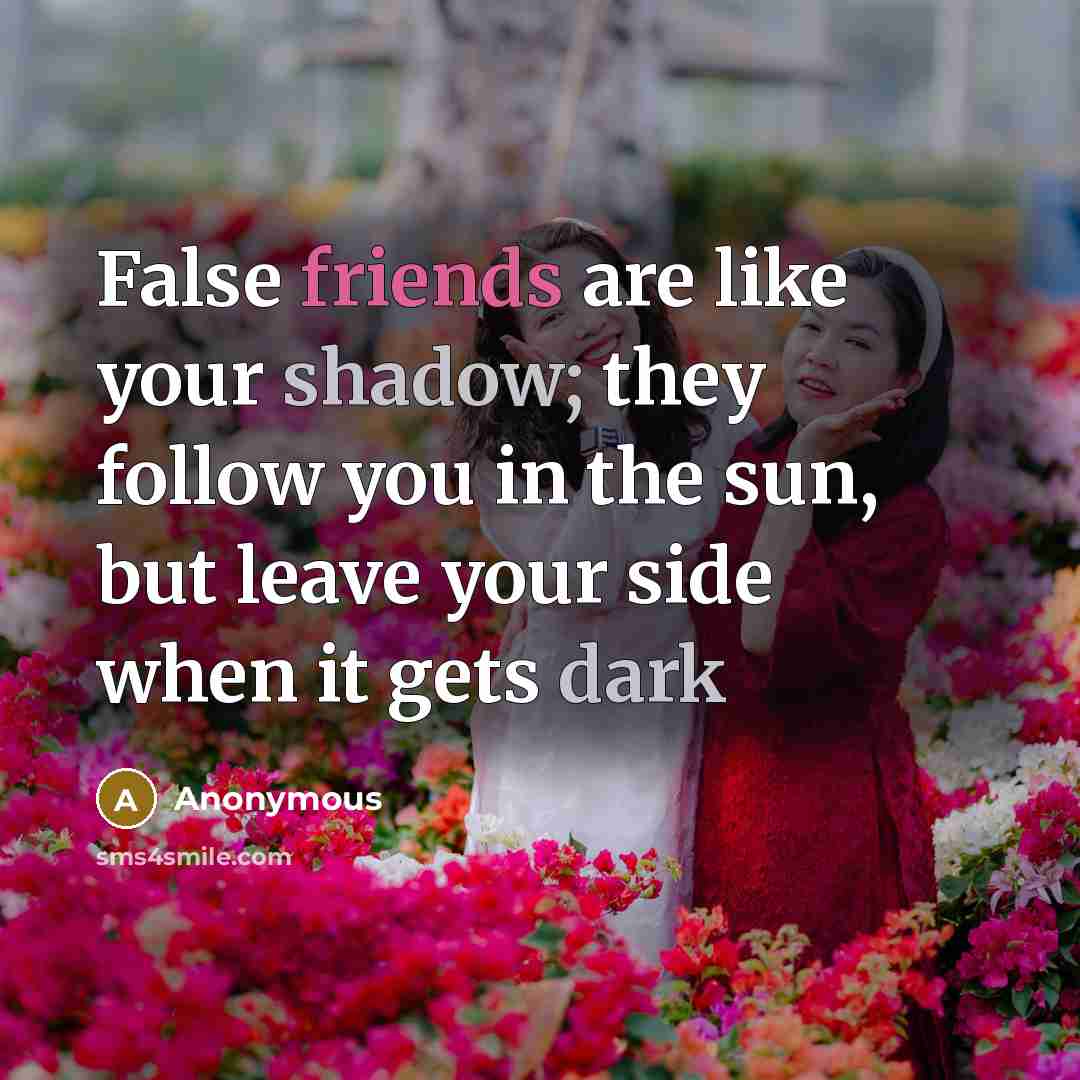 “False friends are like your shadow; they follow you in the sun, but leave your side when it gets dark” quote by Anonymous