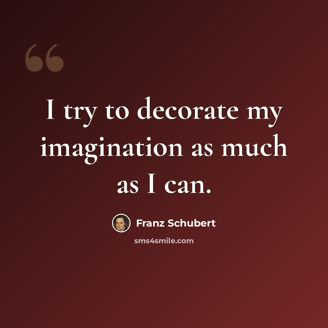 “I try to decorate my imagination as much as I can.” quote by Franz Schubert