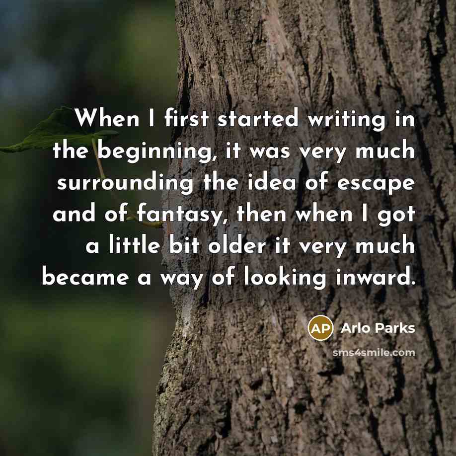 “When I first started writing in the beginning, it was very much surrounding the idea of escape and of fantasy, then when I got a little bit older it very much became a way of looking inward.” quote by Arlo Parks