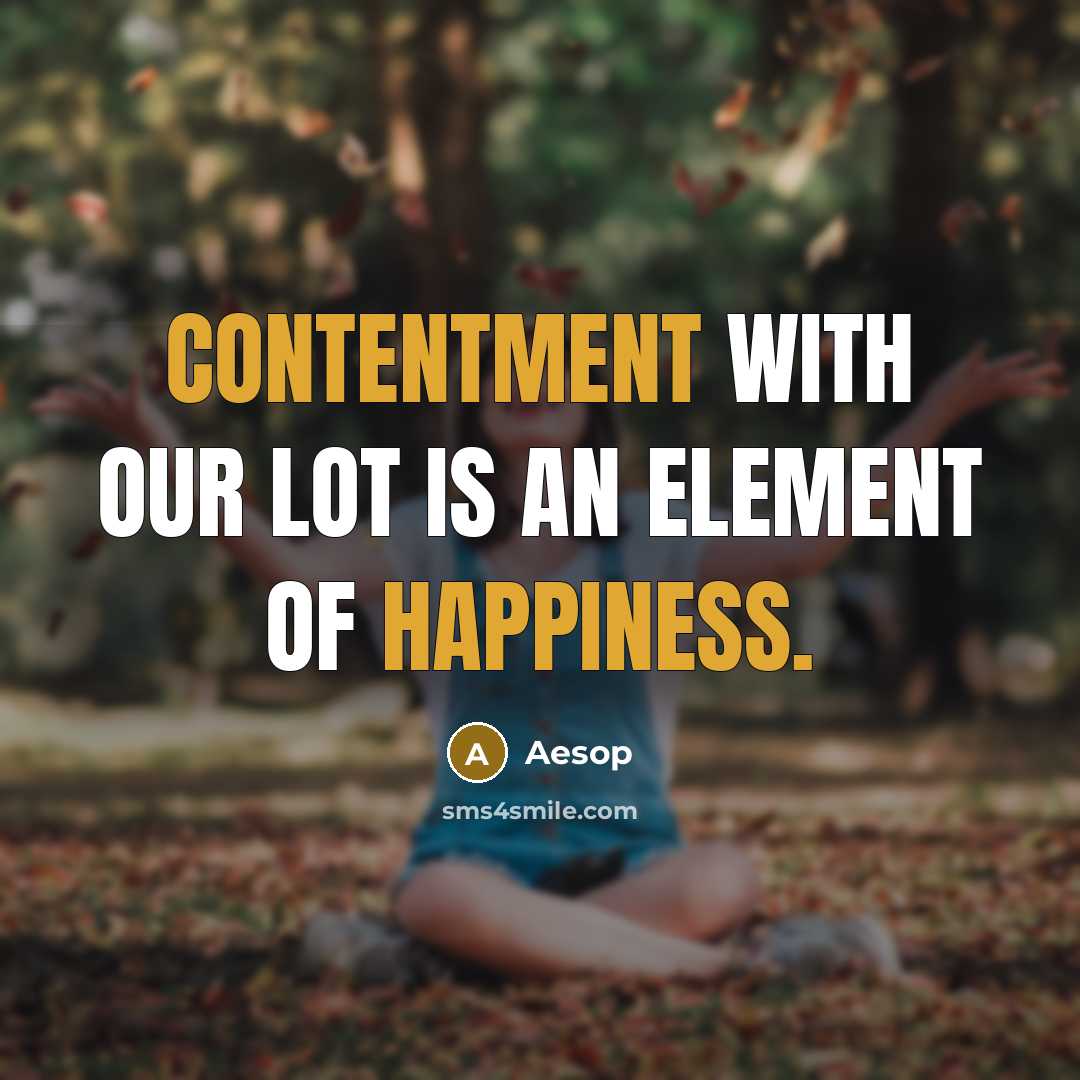 “Contentment with our lot is an element of happiness.” quote by Aesop