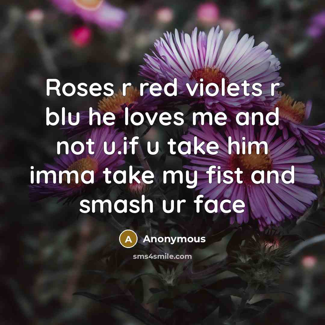 “Roses r red violets r blu he loves me and not u.if u take him imma take my fist and smash ur face” quote by Anonymous