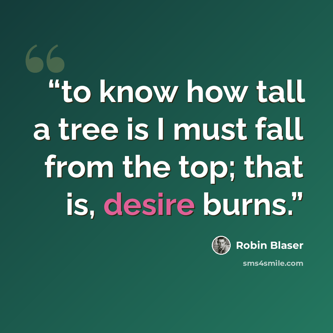 “to know how tall a tree is I must fall from the top; that is, desire burns.” quote by Robin Blaser