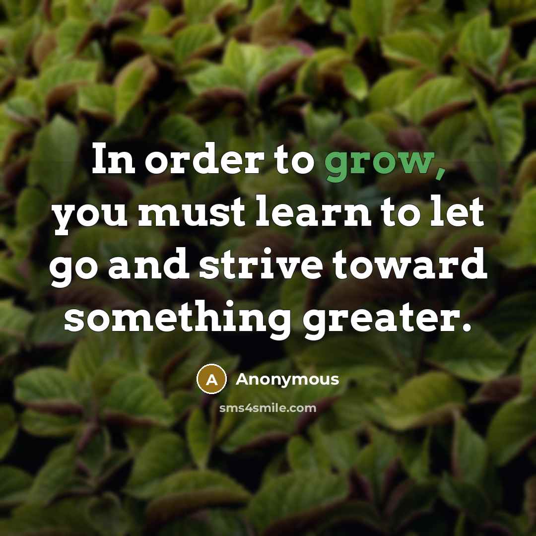 “In order to grow, you must learn to let go and strive toward something greater.” quote by Anonymous