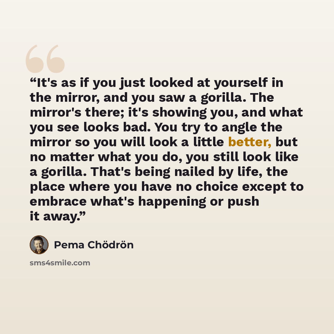 “It's as if you just looked at yourself in the mirror, and you saw a gorilla. The mirror's there; it's showing you, and what you see looks bad. You try to angle the mirror so you will look a little better, but no matter what you do, you still look like a gorilla. That's being nailed by life, the…” quote by Pema Chödrön