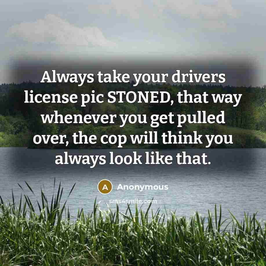 “Always take your drivers license pic STONED, that way whenever you get pulled over, the cop will think you always look like that.” quote by Anonymous