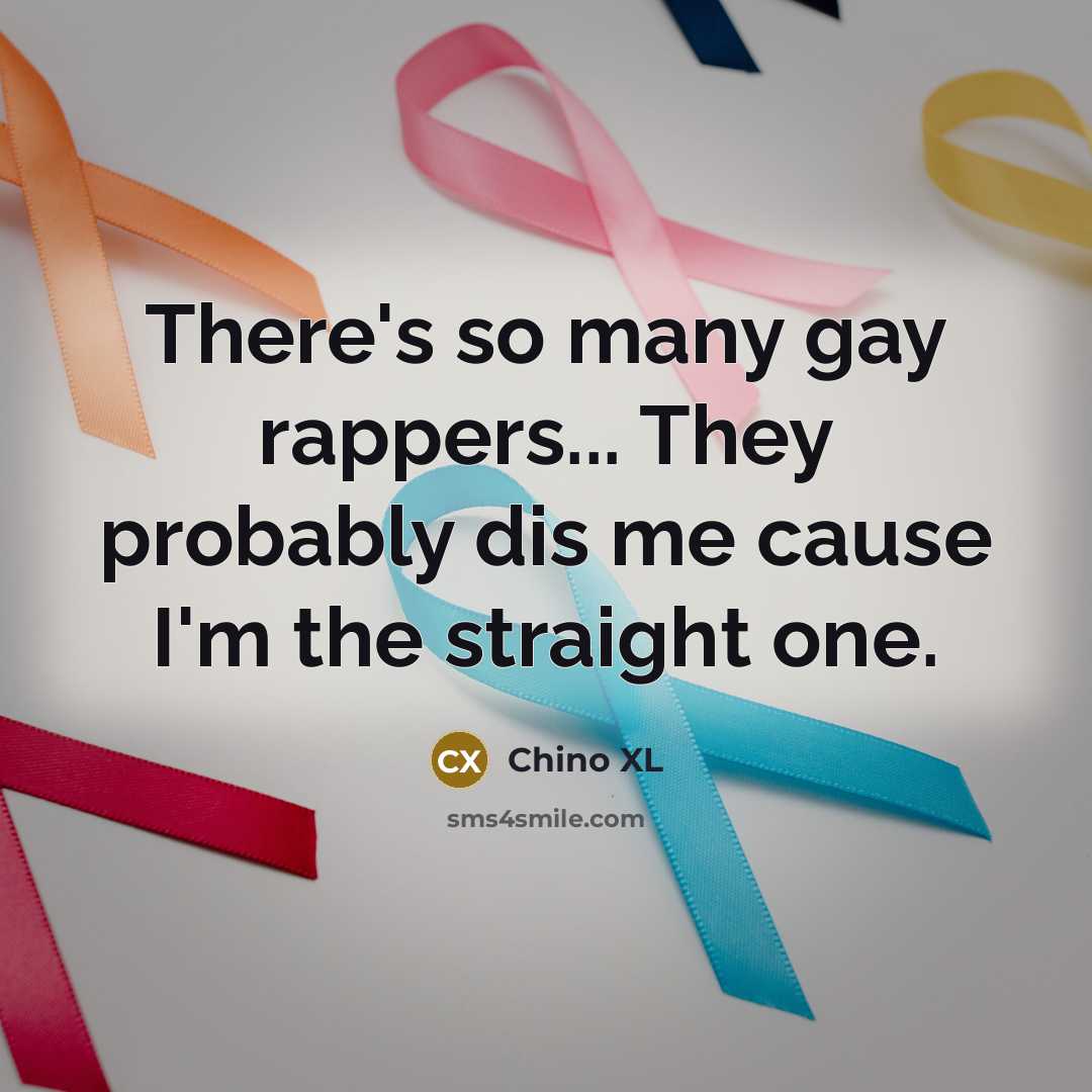 “There's so many gay rappers... They probably dis me cause I'm the straight one.” quote by Chino XL