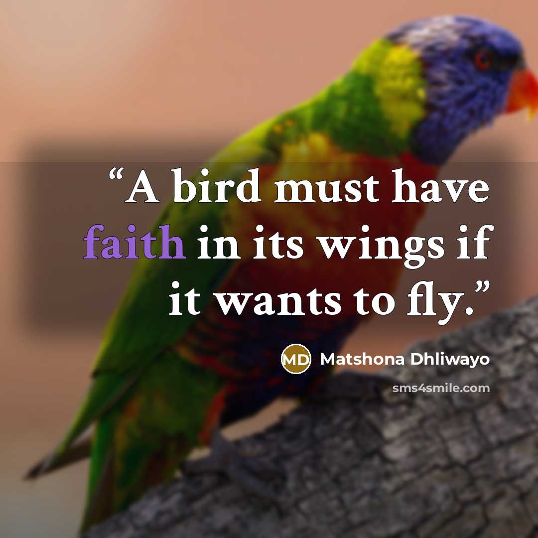 “A bird must have faith in its wings if it wants to fly.” quote by Matshona Dhliwayo