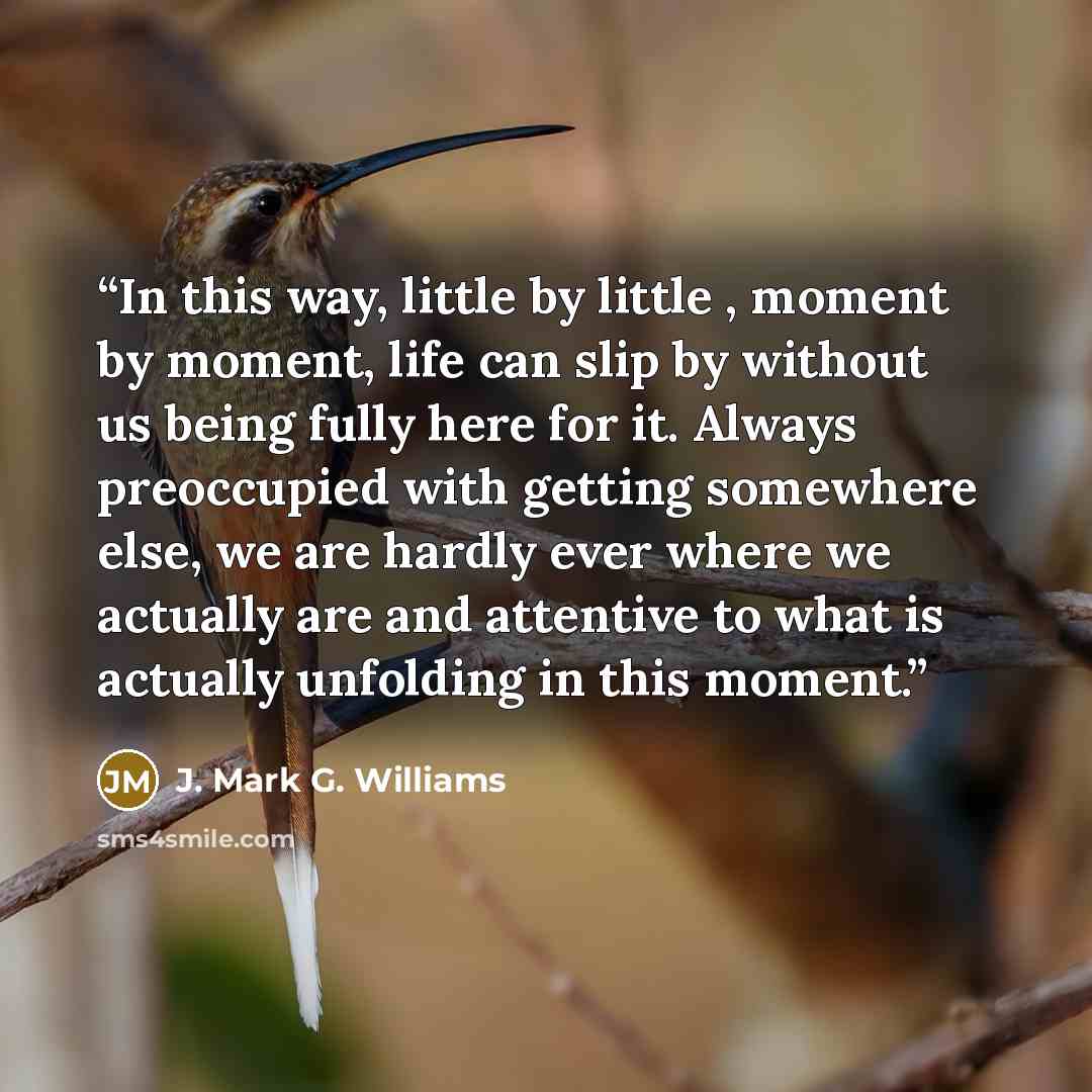 “In this way, little by little , moment by moment, life can slip by without us being fully here for it. Always preoccupied with getting somewhere else, we are hardly ever where we actually are and attentive to what is actually unfolding in this moment.” quote by J. Mark G. Williams
