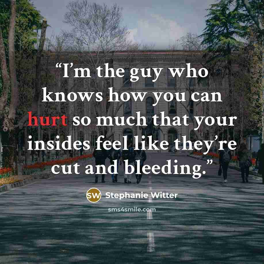 “I’m the guy who knows how you can hurt so much that your insides feel like they’re cut and bleeding.” quote by Stephanie Witter