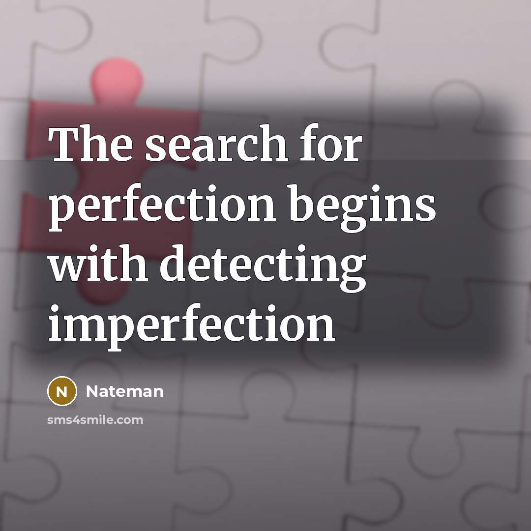 “The search for perfection begins with detecting imperfection” quote by Nateman