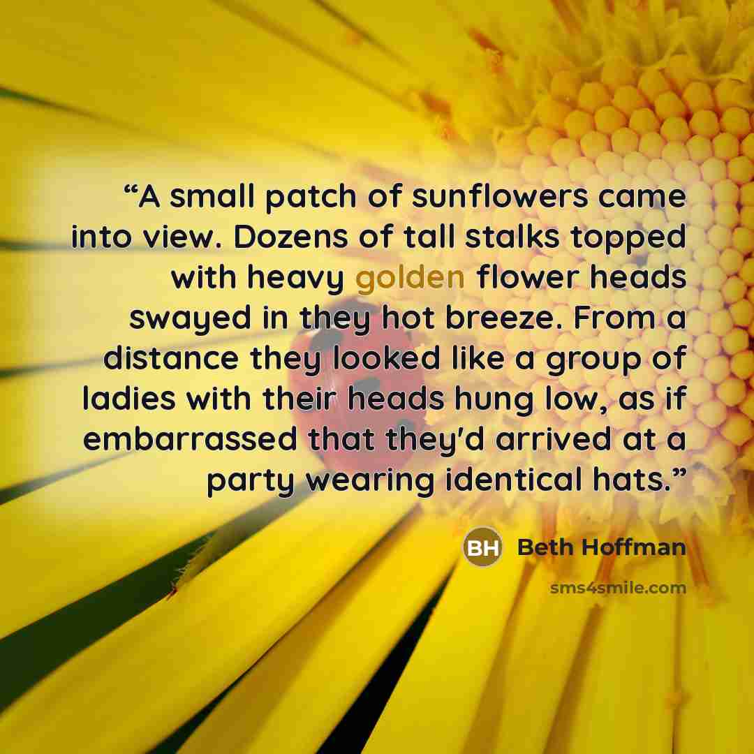 “A small patch of sunflowers came into view. Dozens of tall stalks topped with heavy golden flower heads swayed in they hot breeze. From a distance they looked like a group of ladies with their heads hung low, as if embarrassed that they'd arrived at a party wearing identical hats.” quote by Beth Hoffman