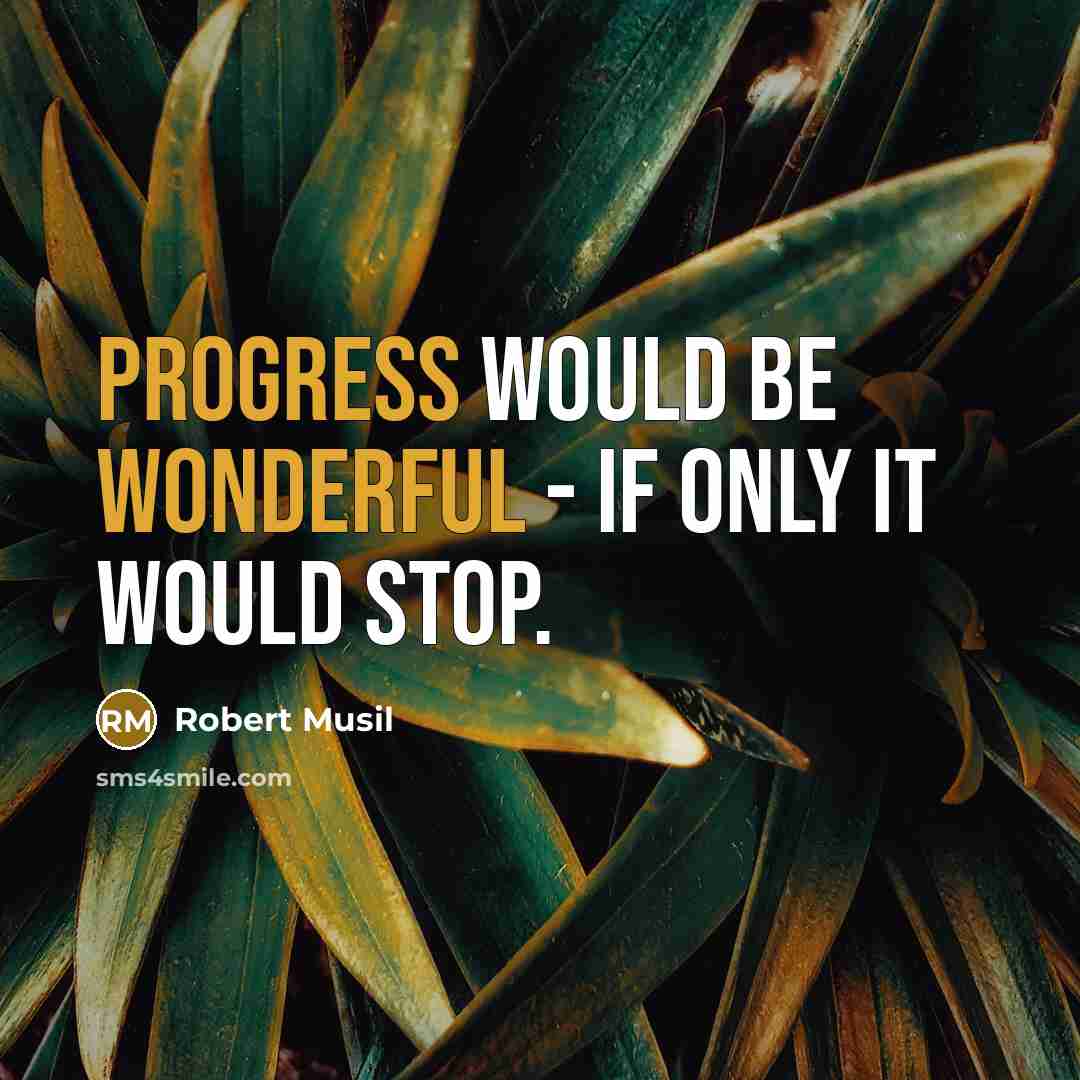 “Progress would be wonderful - if only it would stop.” quote by Robert Musil