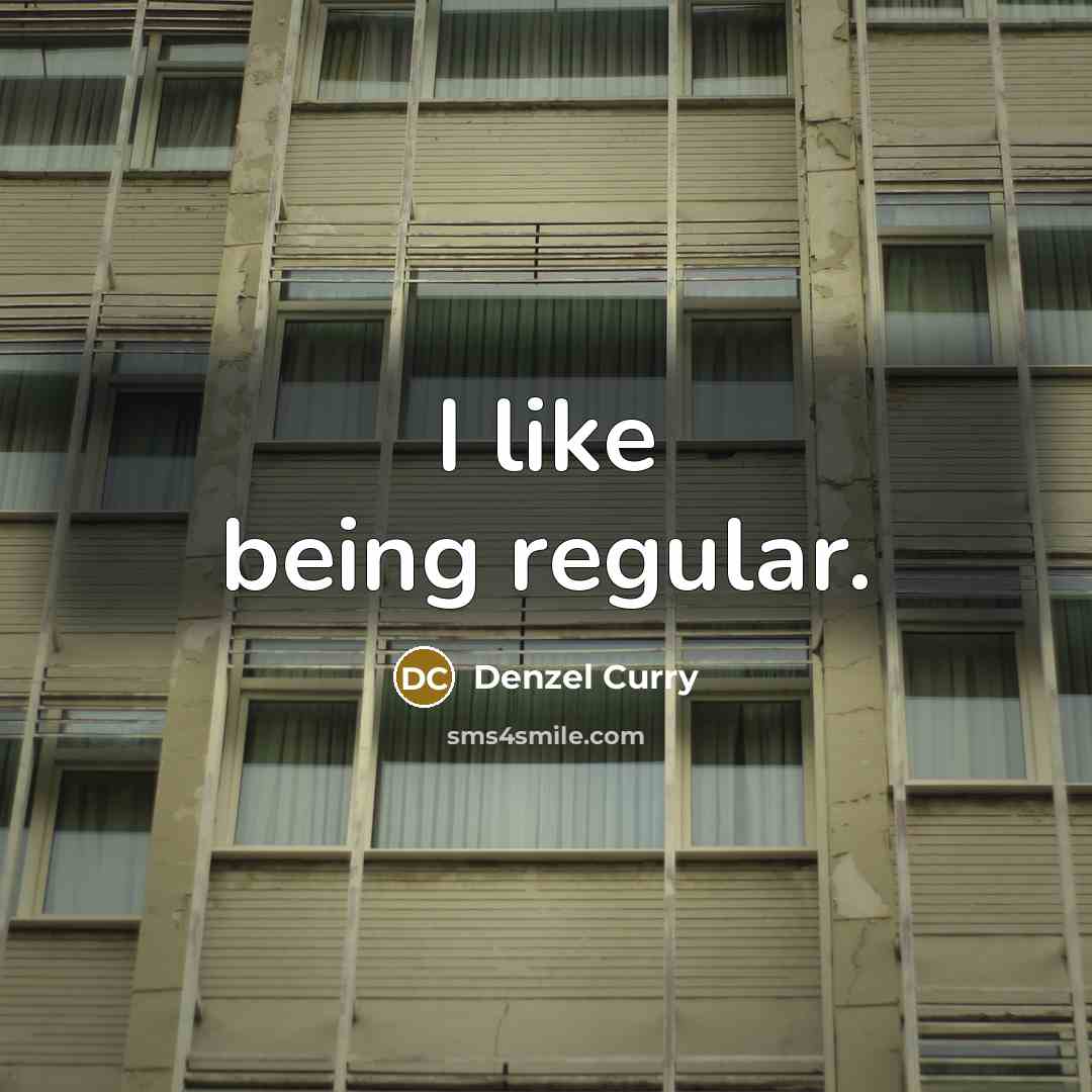 “I like being regular.” quote by Denzel Curry