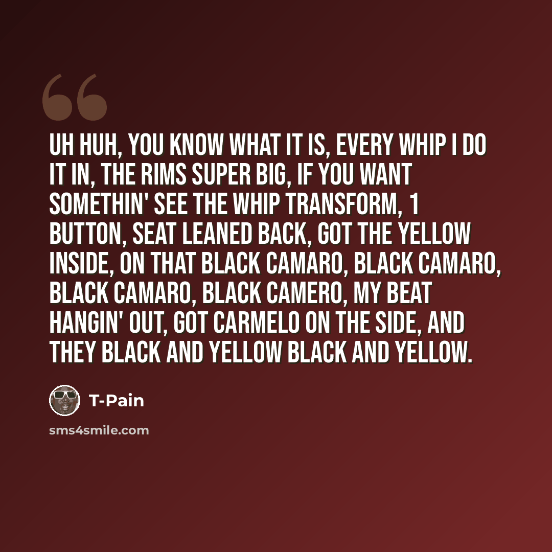 “Uh huh, you know what it is, Every whip I do it in, the rims super big, If you want somethin' see the whip transform, 1 button, Seat leaned back, got the yellow inside, On that black camaro, black camaro, black camaro, black camero, My beat hangin' out, got carmelo on the side, And they black and…” quote by T-Pain