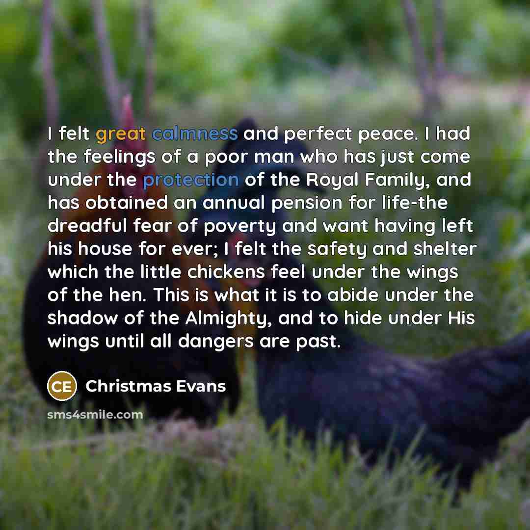 “I felt great calmness and perfect peace. I had the feelings of a poor man who has just come under the protection of the Royal Family, and has obtained an annual pension for life-the dreadful fear of poverty and want having left his house for ever; I felt the safety and shelter which the little…” quote by Christmas Evans