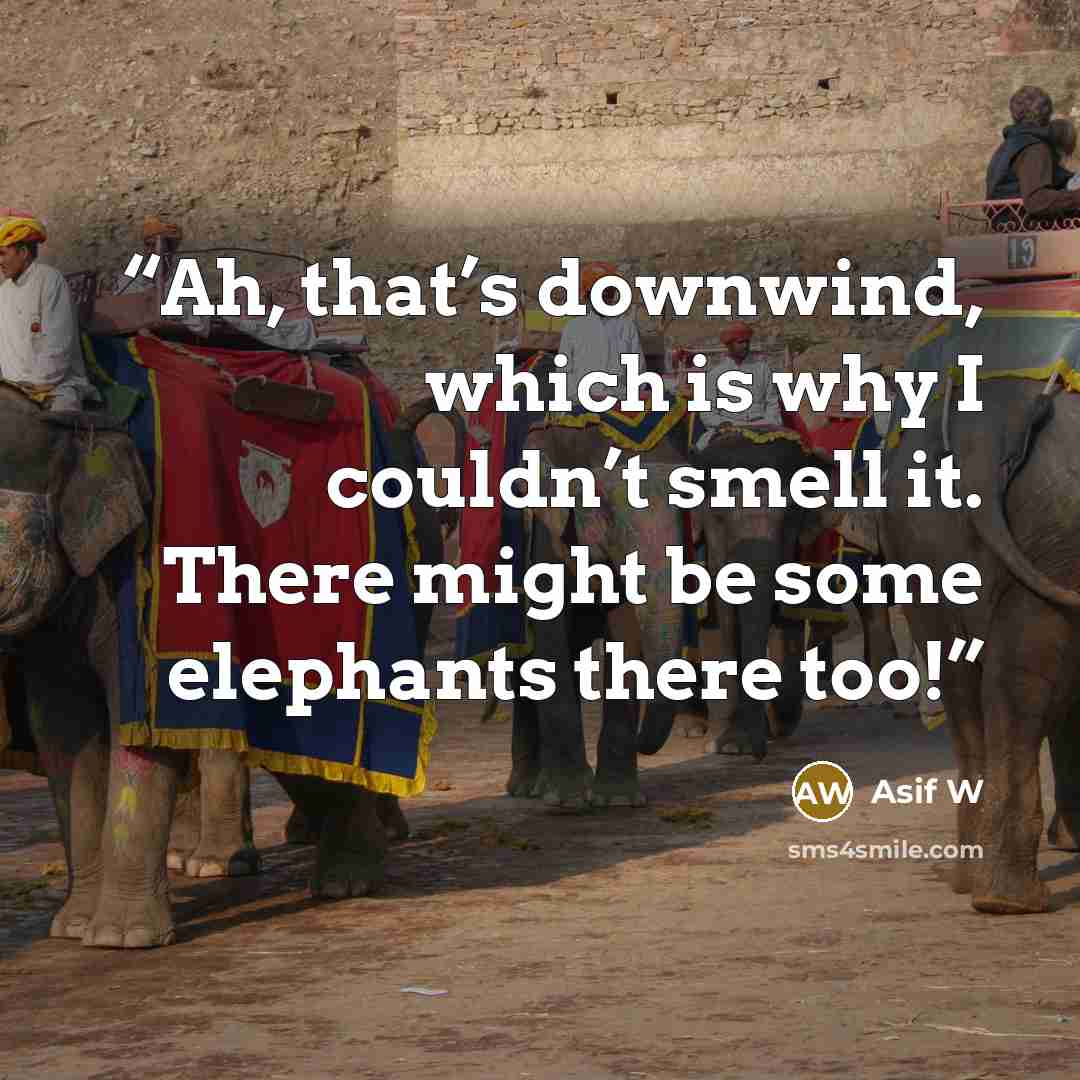 “Ah, that’s downwind, which is why I couldn’t smell it. There might be some elephants there too!” quote by Asif W
