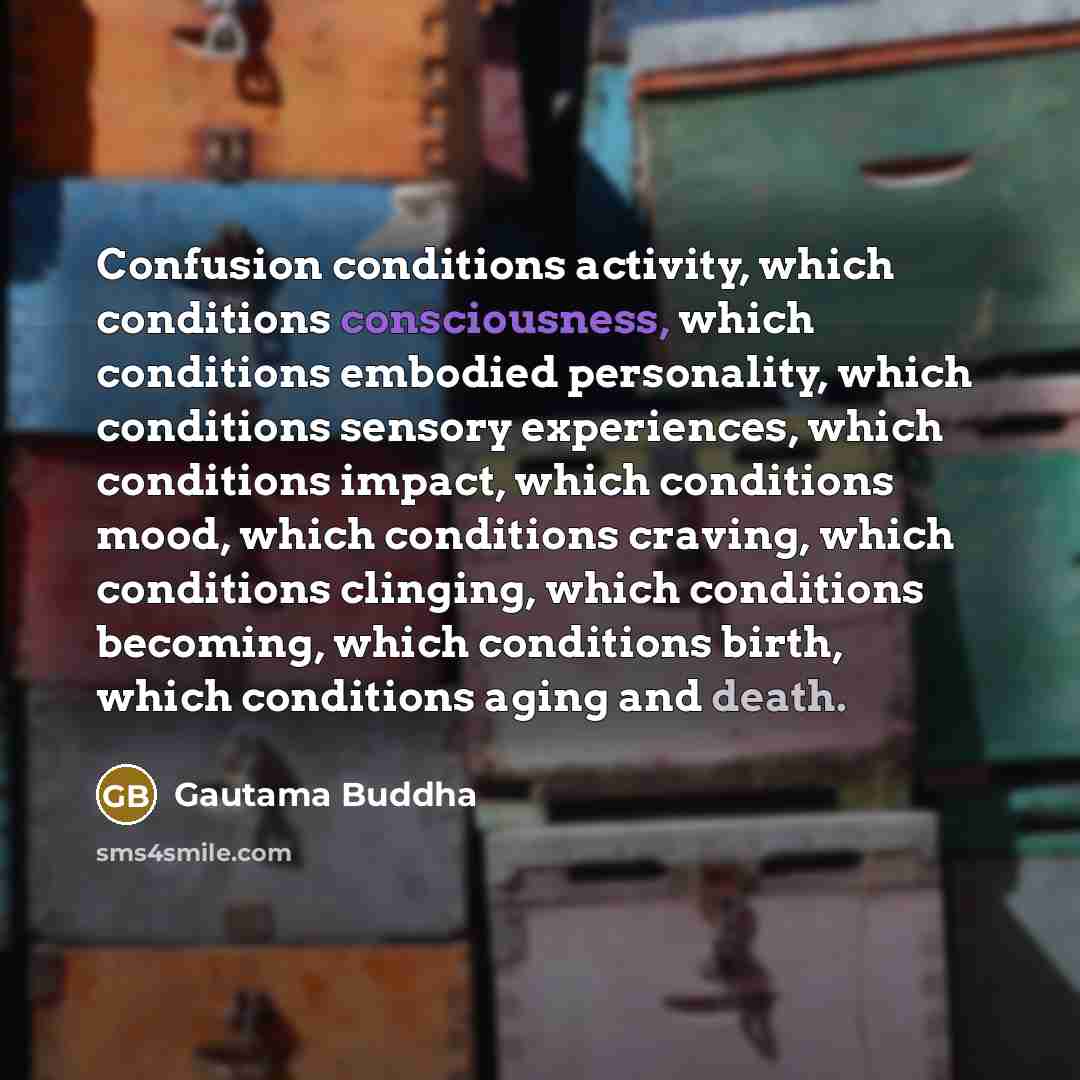 “Confusion conditions activity, which conditions consciousness, which conditions embodied personality, which conditions sensory experiences, which conditions impact, which conditions mood, which conditions craving, which conditions clinging, which conditions becoming, which conditions birth, which…” quote by Gautama Buddha