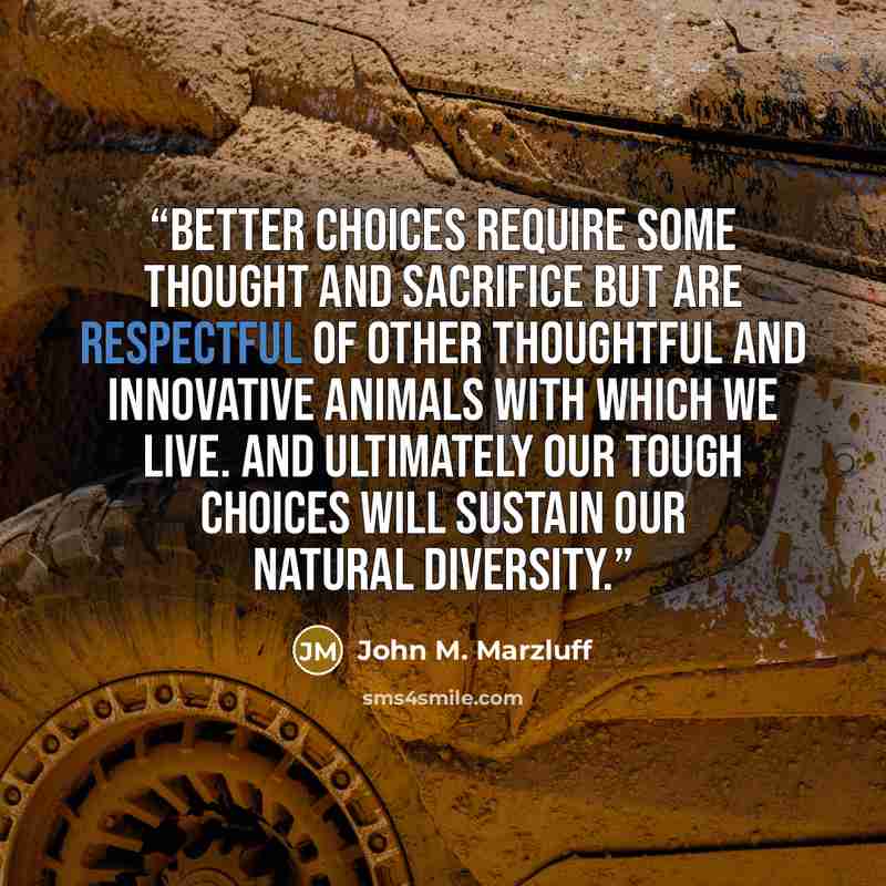 “Better choices require some thought and sacrifice but are respectful of other thoughtful and innovative animals with which we live. And ultimately our tough choices will sustain our natural diversity.” quote by John M. Marzluff