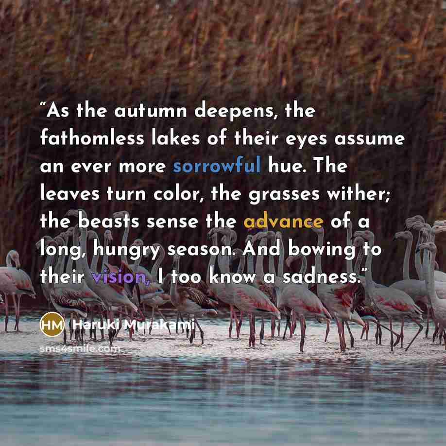 “As the autumn deepens, the fathomless lakes of their eyes assume an ever more sorrowful hue. The leaves turn color, the grasses wither; the beasts sense the advance of a long, hungry season. And bowing to their vision, I too know a sadness.” quote by Haruki Murakami