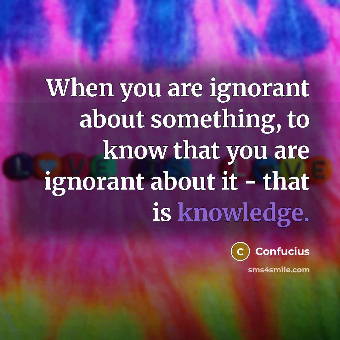“When you are ignorant about something, to know that you are ignorant about it - that is knowledge.” quote by Confucius