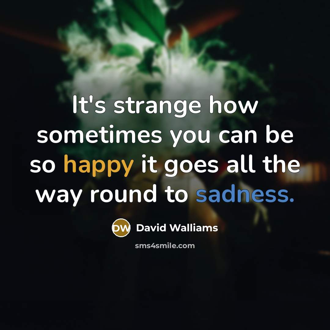 “It's strange how sometimes you can be so happy it goes all the way round to sadness.” quote by David Walliams