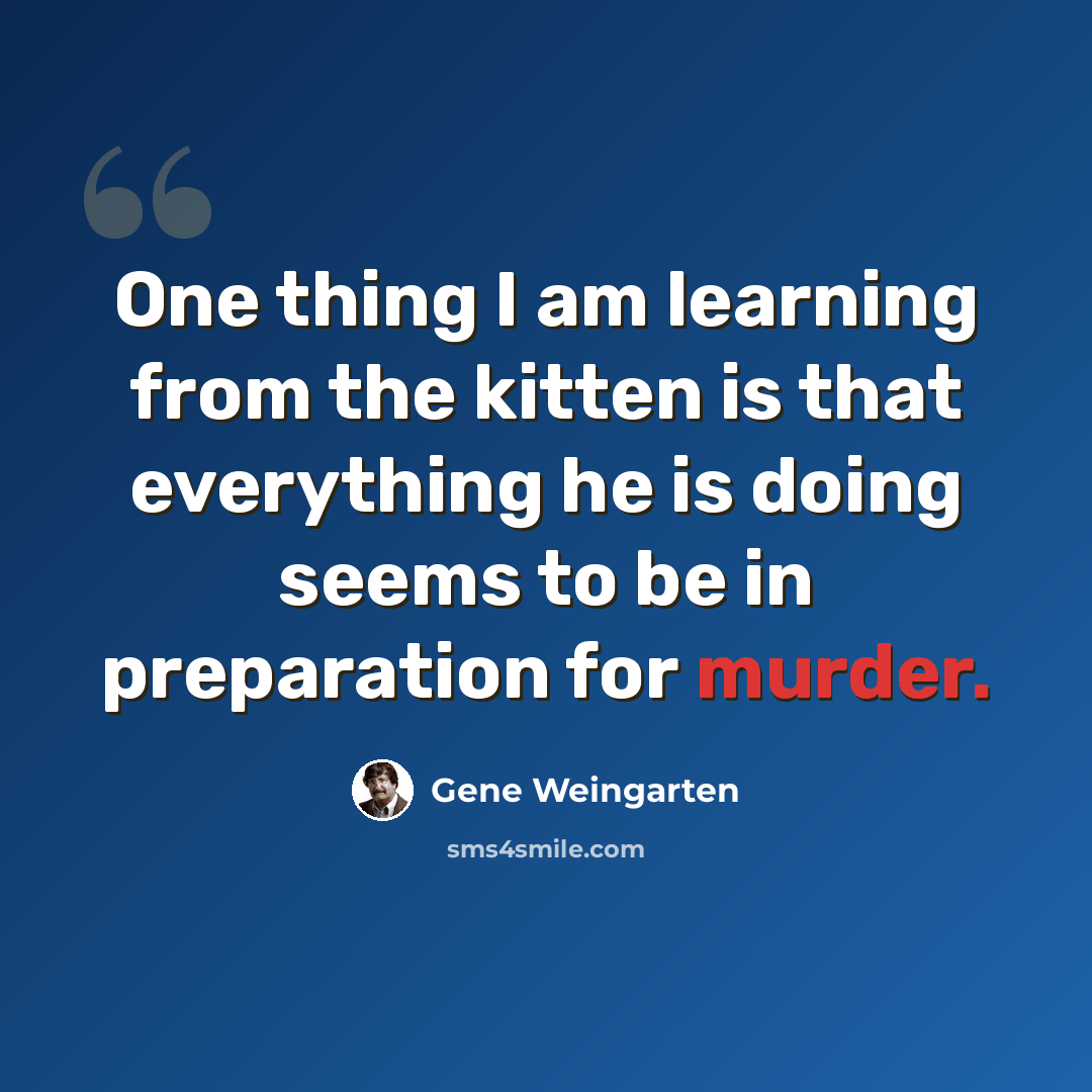 “One thing I am learning from the kitten is that everything he is doing seems to be in preparation for murder.” quote by Gene Weingarten