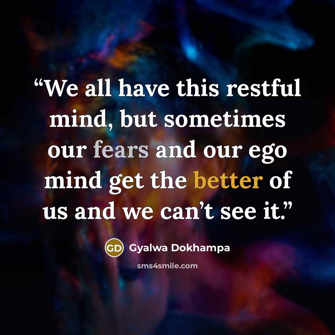 “We all have this restful mind, but sometimes our fears and our ego mind get the better of us and we can’t see it.” quote by Gyalwa Dokhampa