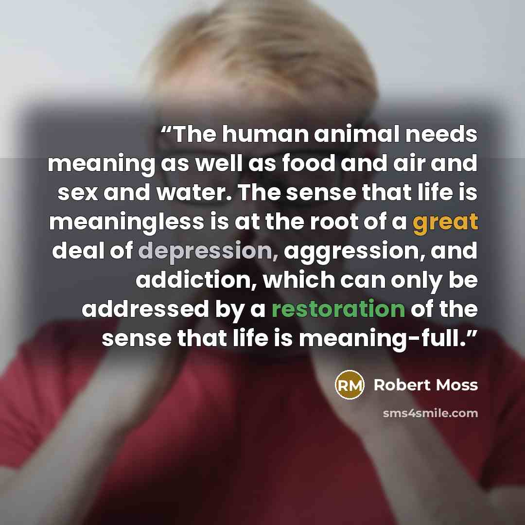 “The human animal needs meaning as well as food and air and sex and water. The sense that life is meaningless is at the root of a great deal of depression, aggression, and addiction, which can only be addressed by a restoration of the sense that life is meaning-full.” quote by Robert Moss