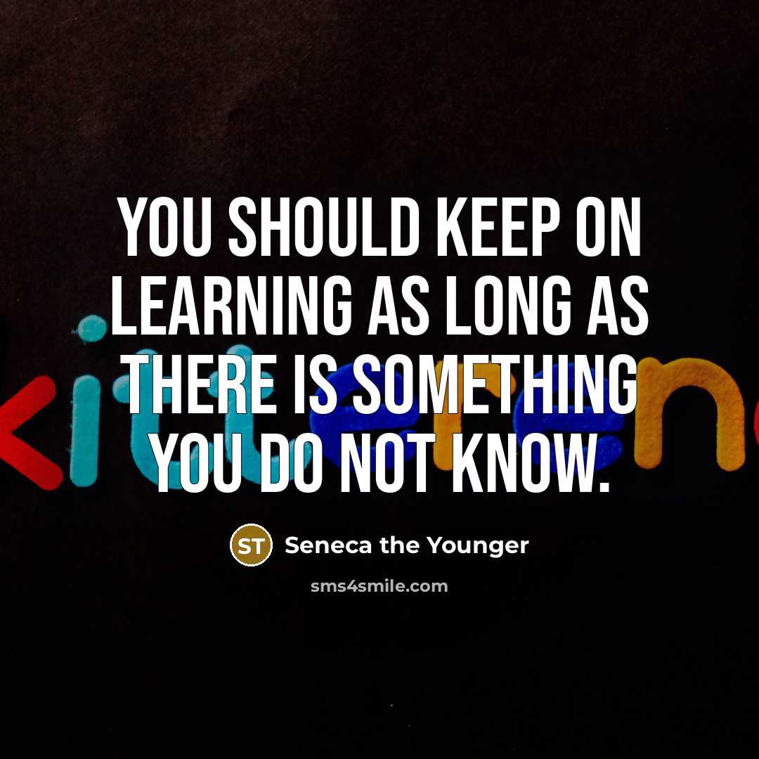 “You should keep on learning as long as there is something you do not know.” quote by Seneca the Younger