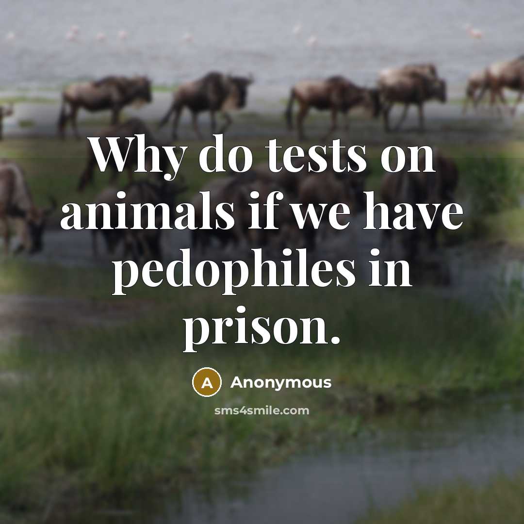 “Why do tests on animals if we have pedophiles in prison.” quote by Anonymous