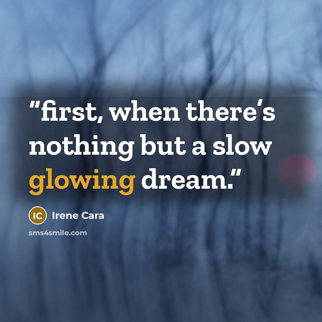 “first, when there’s nothing but a slow glowing dream.” quote by Irene Cara
