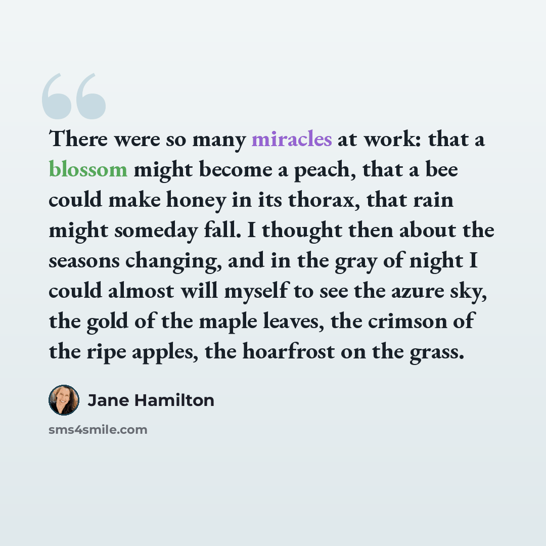 “There were so many miracles at work: that a blossom might become a peach, that a bee could make honey in its thorax, that rain might someday fall. I thought then about the seasons changing, and in the gray of night I could almost will myself to see the azure sky, the gold of the maple leaves, the…” quote by Jane Hamilton