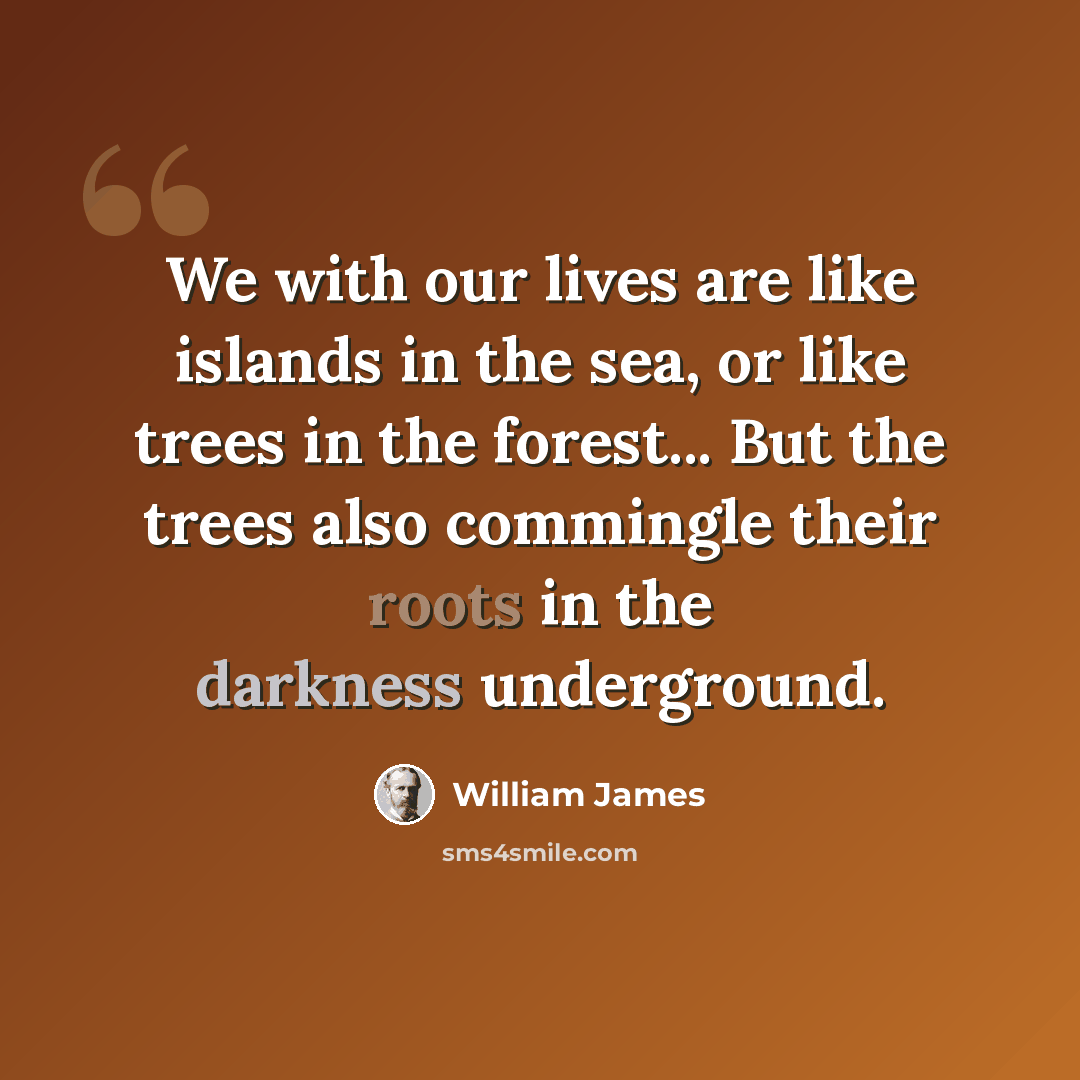 “We with our lives are like islands in the sea, or like trees in the forest... But the trees also commingle their roots in the darkness underground.” quote by William James