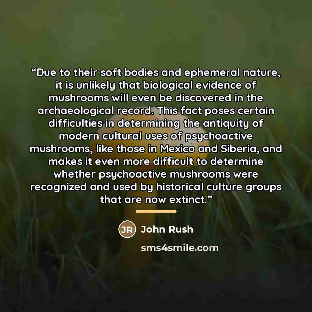 “Due to their soft bodies and ephemeral nature, it is unlikely that biological evidence of mushrooms will even be discovered in the archaeological record. This fact poses certain difficulties in determining the antiquity of modern cultural uses of psychoactive mushrooms, like those in Mexico and…” quote by John Rush