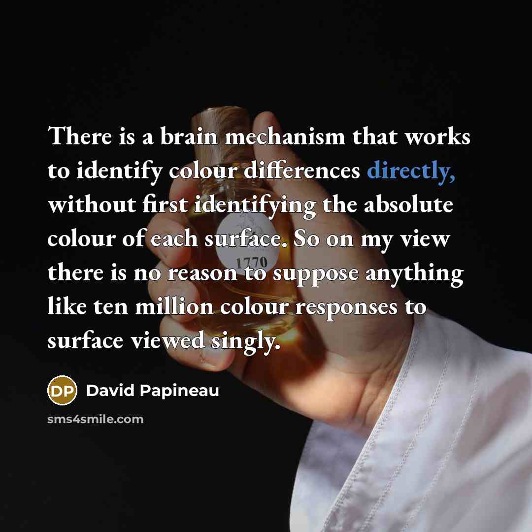 “There is a brain mechanism that works to identify colour differences directly, without first identifying the absolute colour of each surface. So on my view there is no reason to suppose anything like ten million colour responses to surface viewed singly.” quote by David Papineau