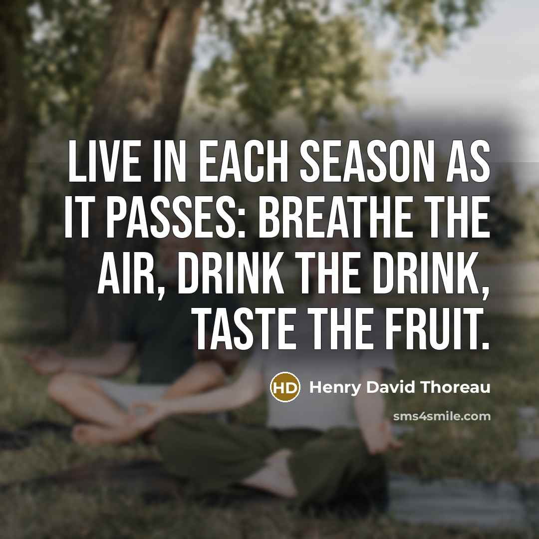 “Live in each season as it passes: breathe the air, drink the drink, taste the fruit.” quote by Henry David Thoreau