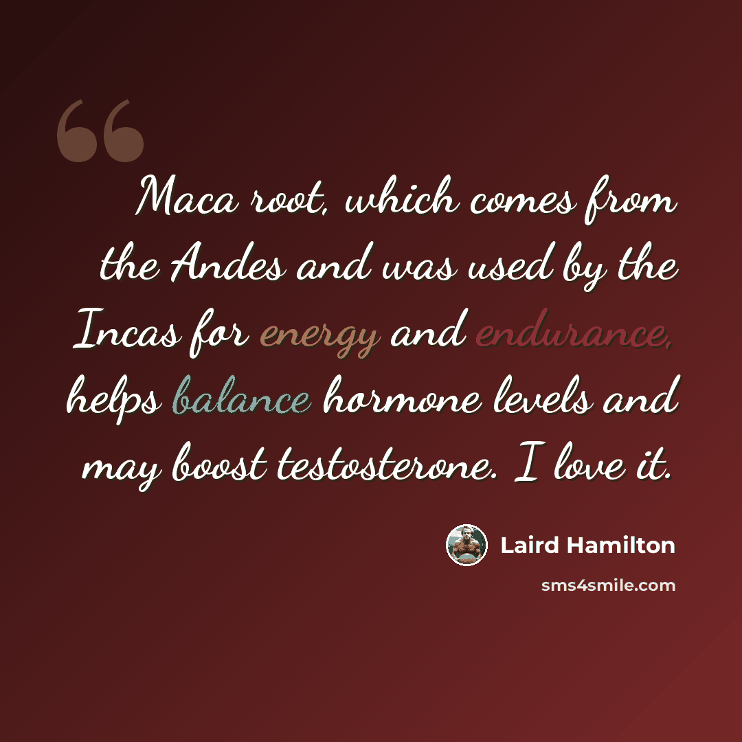 “Maca root, which comes from the Andes and was used by the Incas for energy and endurance, helps balance hormone levels and may boost testosterone. I love it.” quote by Laird Hamilton