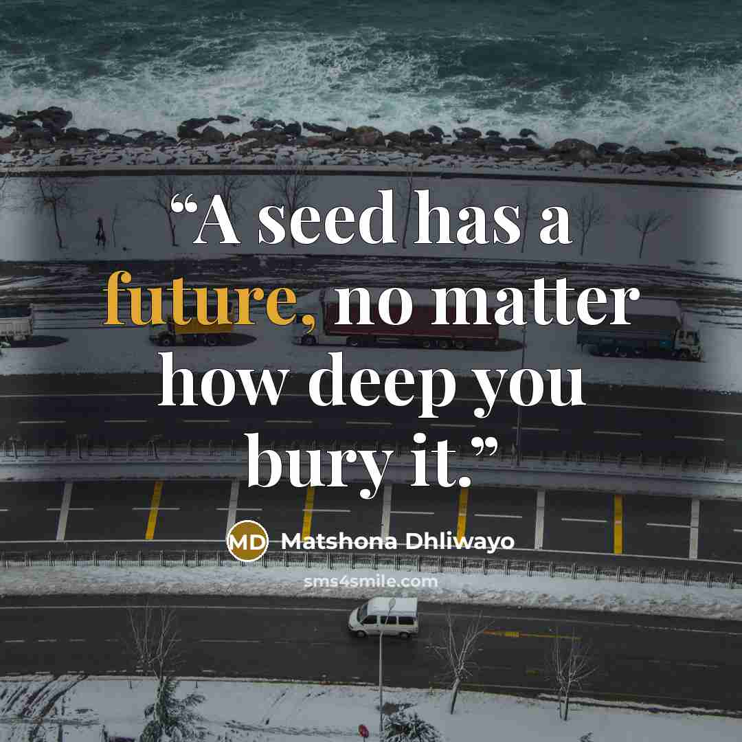 “A seed has a future, no matter how deep you bury it.” quote by Matshona Dhliwayo