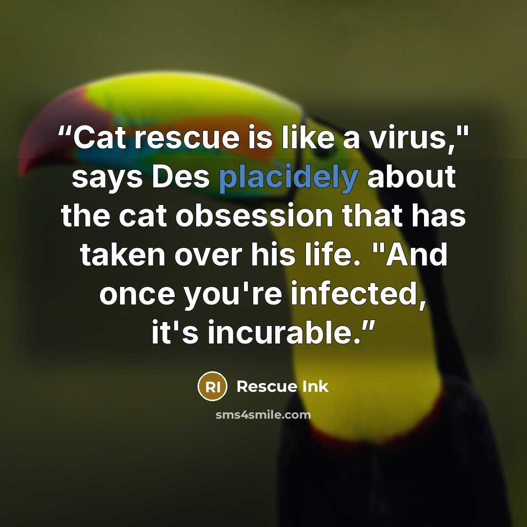 “Cat rescue is like a virus," says Des placidely about the cat obsession that has taken over his life. "And once you're infected, it's incurable.” quote by Rescue Ink