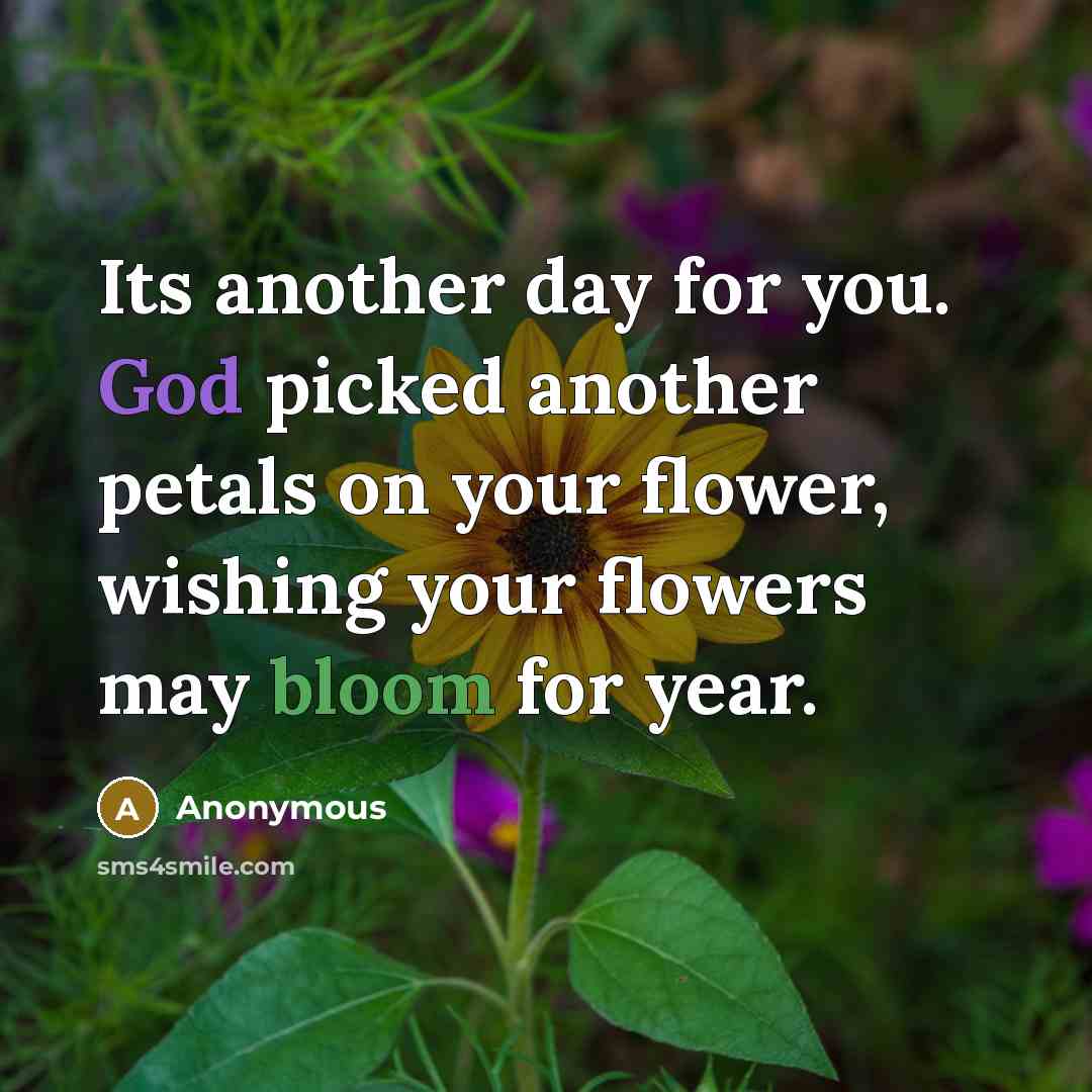 “Its another day for you. God picked another petals on your flower, wishing your flowers may bloom for year.” quote by Anonymous