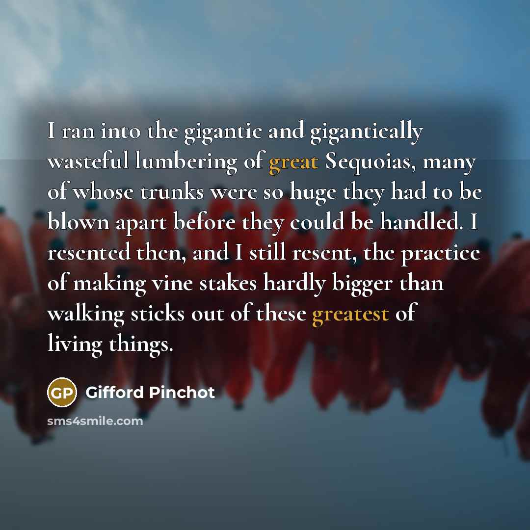 “I ran into the gigantic and gigantically wasteful lumbering of great Sequoias, many of whose trunks were so huge they had to be blown apart before they could be handled. I resented then, and I still resent, the practice of making vine stakes hardly bigger than walking sticks out of these greatest…” quote by Gifford Pinchot