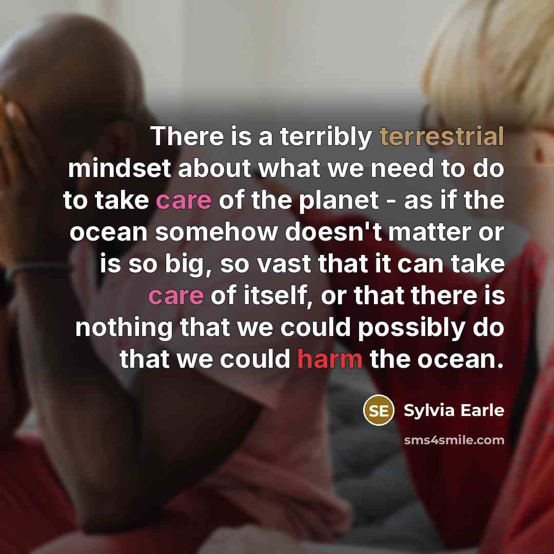 “There is a terribly terrestrial mindset about what we need to do to take care of the planet - as if the ocean somehow doesn't matter or is so big, so vast that it can take care of itself, or that there is nothing that we could possibly do that we could harm the ocean.” quote by Sylvia Earle