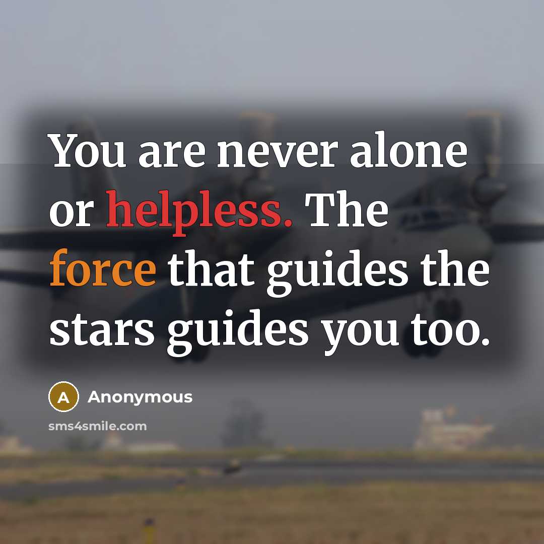 “You are never alone or helpless. The force that guides the stars guides you too.” quote by Anonymous