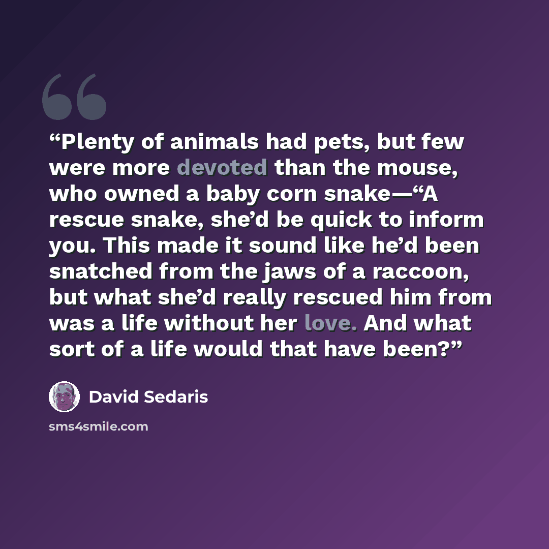 “Plenty of animals had pets, but few were more devoted than the mouse, who owned a baby corn snake—“A rescue snake, she’d be quick to inform you. This made it sound like he’d been snatched from the jaws of a raccoon, but what she’d really rescued him from was a life without her love. And what sort…” quote by David Sedaris