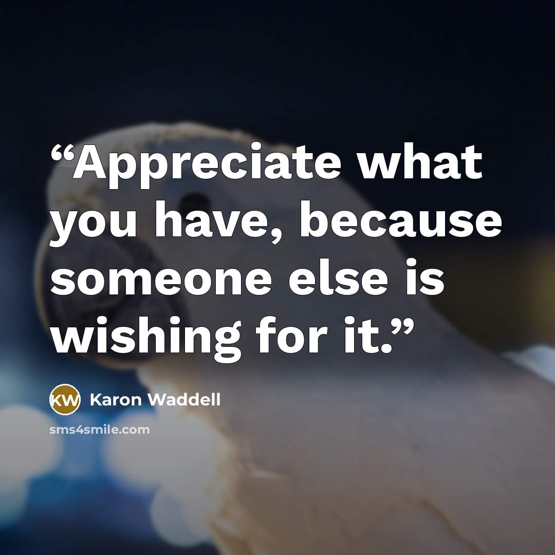 “Appreciate what you have, because someone else is wishing for it.” quote by Karon Waddell
