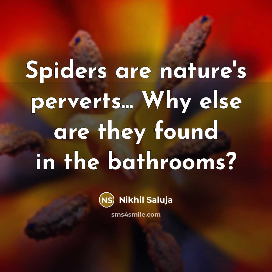 “Spiders are nature's perverts... Why else are they found in the bathrooms?” quote by Nikhil Saluja