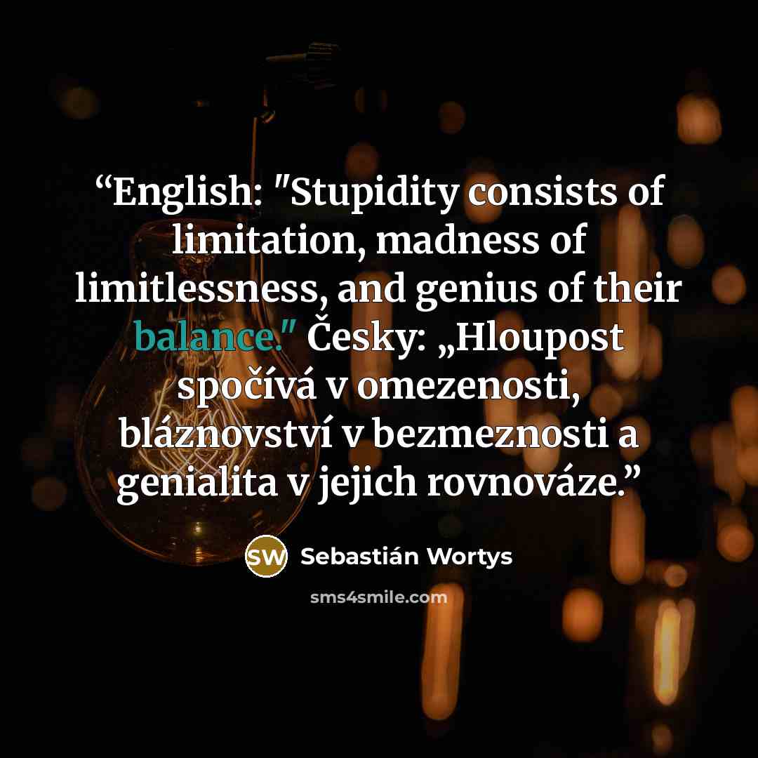 “English: "Stupidity consists of limitation, madness of limitlessness, and genius of their balance." Česky: „Hloupost spočívá v omezenosti, bláznovství v bezmeznosti a genialita v jejich rovnováze.” quote by Sebastián Wortys