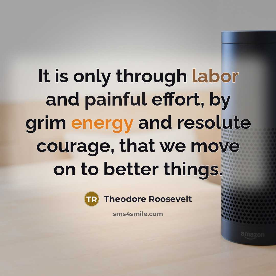 “It is only through labor and painful effort, by grim energy and resolute courage, that we move on to better things.” quote by Theodore Roosevelt